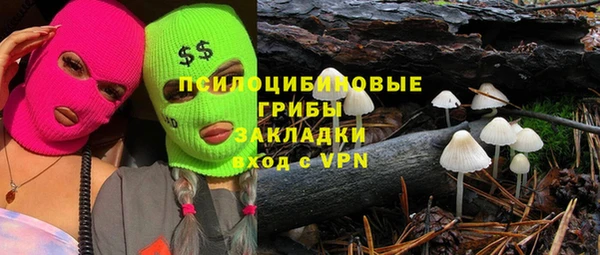 СК Зеленодольск