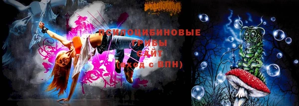 СК Зеленодольск