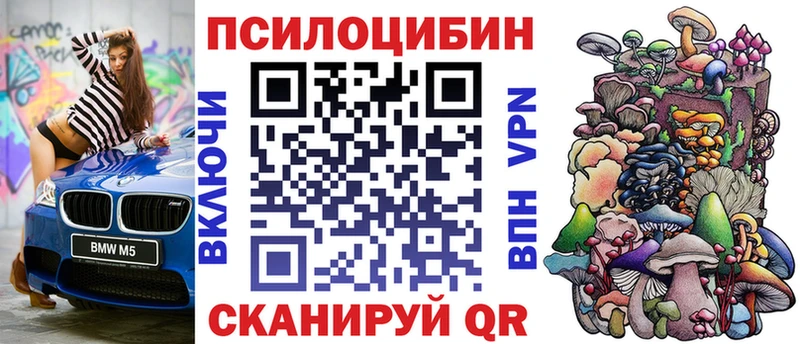 Купить  Богучар  Псилоцибиновые грибы Psilocybine cubensis 
